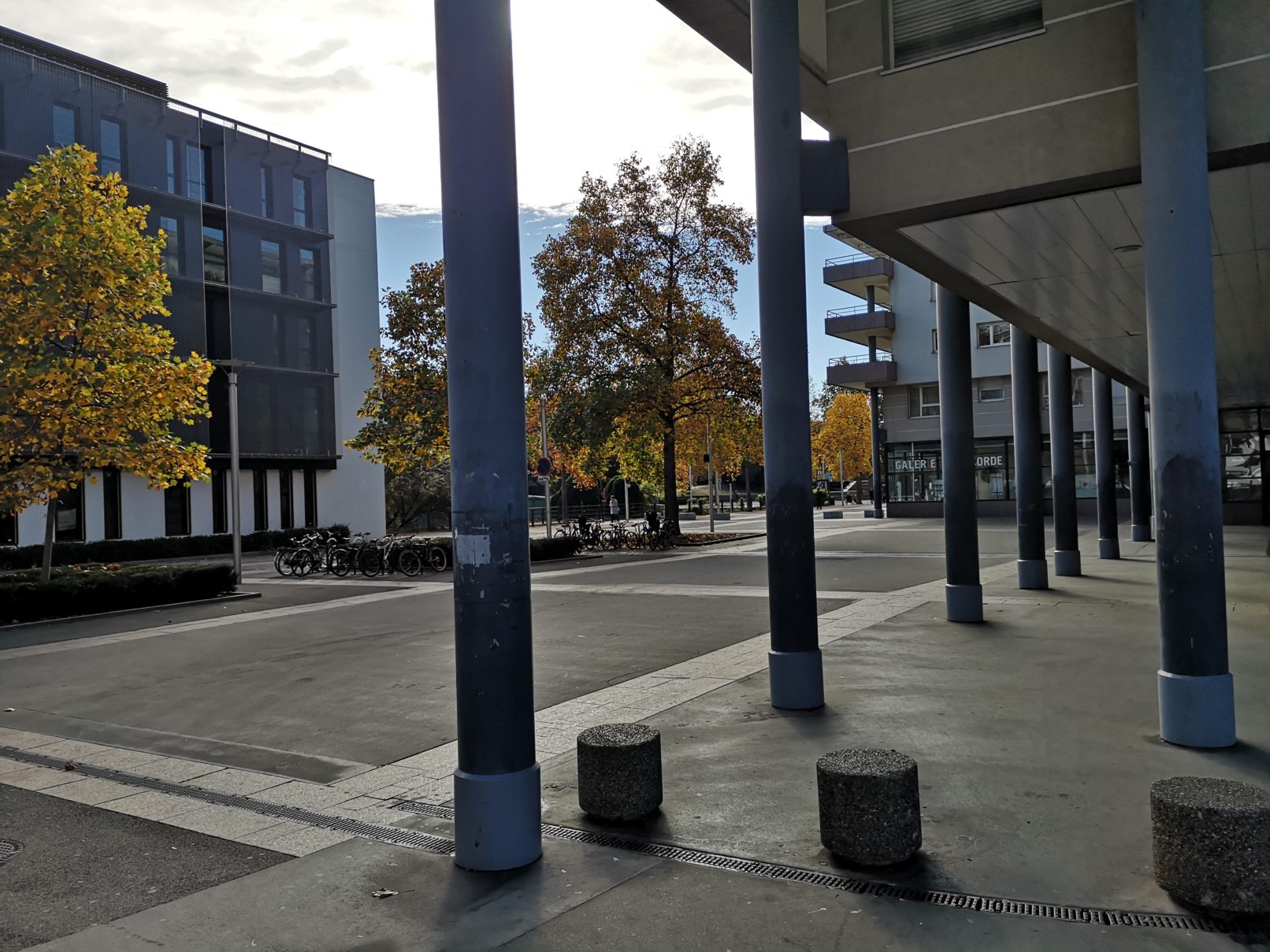 Assistants-Familiaux-asdo-etudes